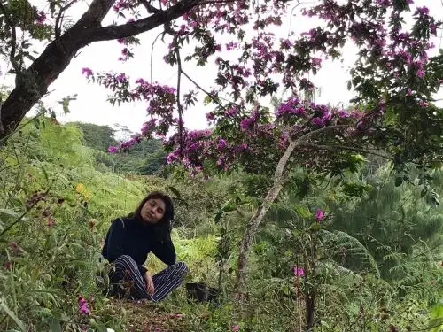 Conoce a Gardalia Quispe Guillermo, la joven talento de Junín que busca evitar extinción de plantas medicinales con ayuda de mujeres de una comunidad andina. ANDINA/Difusión