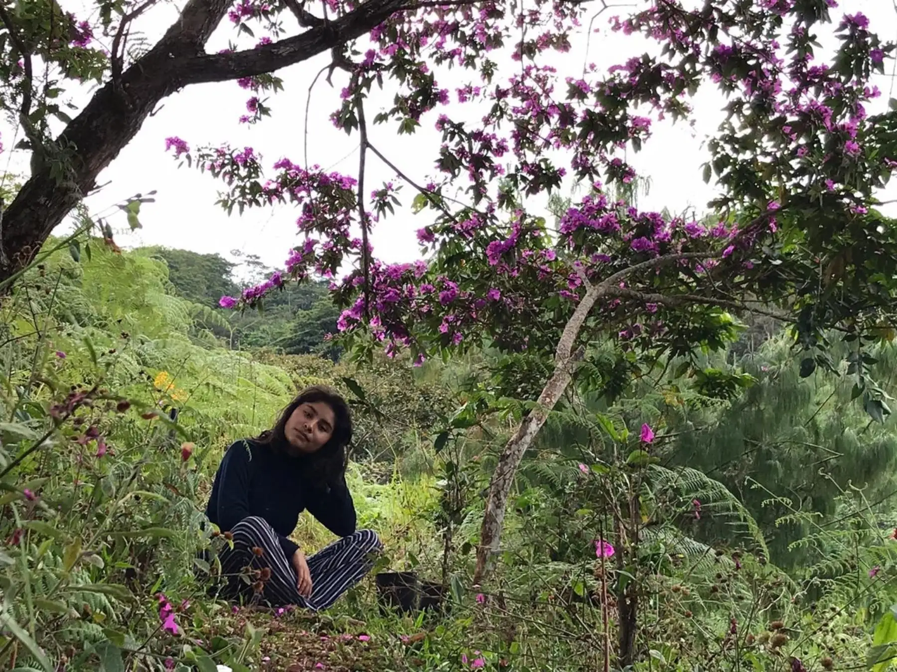 Conoce a Gardalia Quispe Guillermo, la joven talento de Junín que busca evitar extinción de plantas medicinales con ayuda de mujeres de una comunidad andina. ANDINA/Difusión
