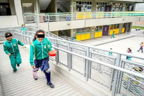 Minedu actualiza norma para mejorar condiciones de escolares con discapacidad. Foto: ANDINA/Difusión.