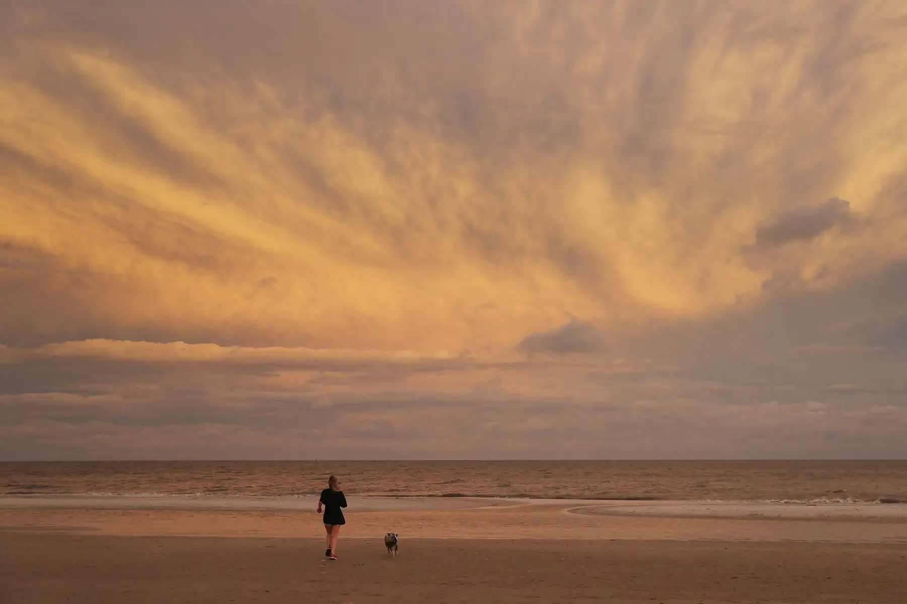 Una joven disfruta de la playa junto a su perro, antes de la llegada del huracán Sally, en Mississippi. Foto: AFP