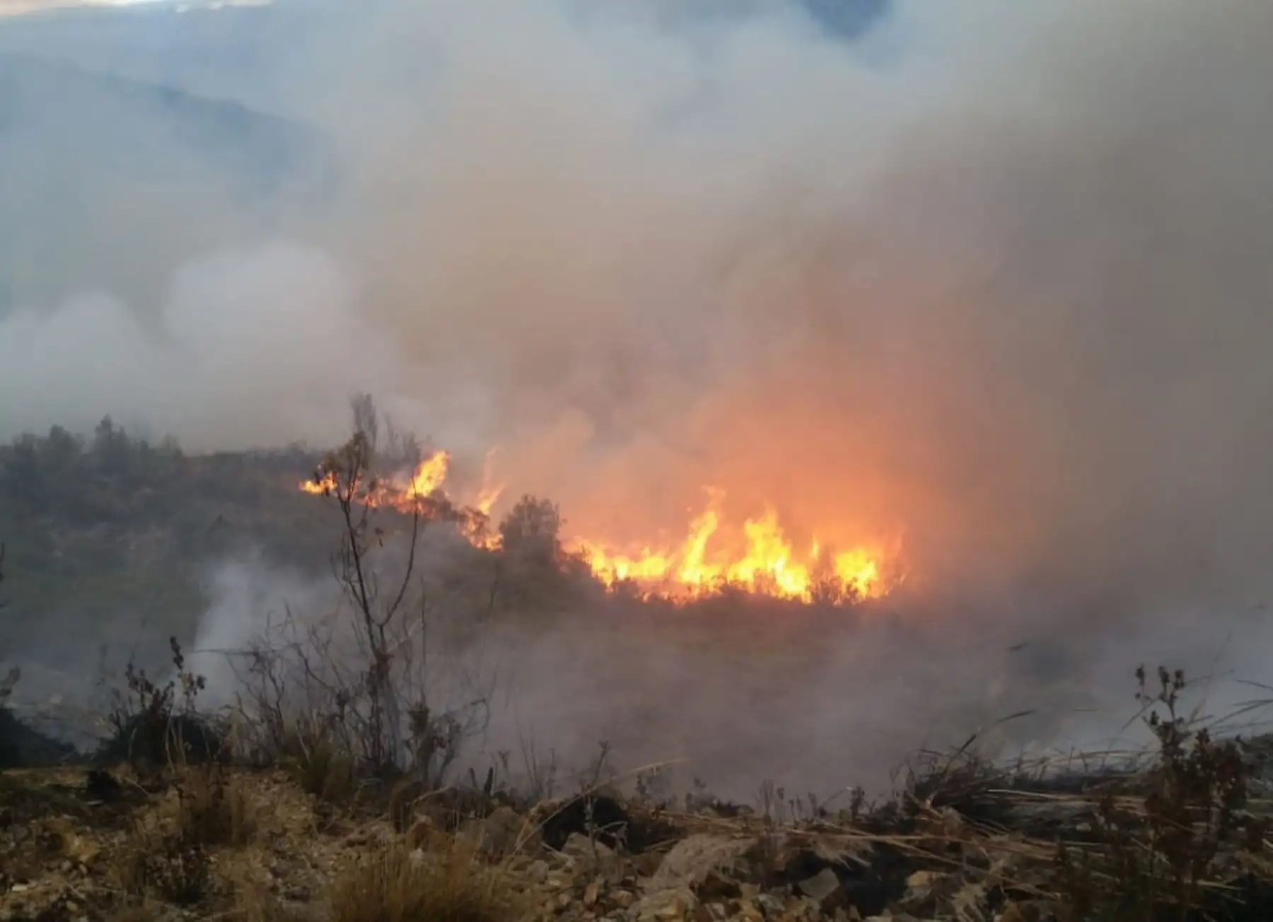 Incendio forestal arrasa con más de 250 hectáreas de pastos naturales en la provincia de Yungay, en la sierra de Áncash. ANDINA/Difusión