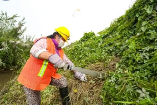 Ministro Jorge Montenegro sostuvo que el sector avanza hacia la igualdad de género y busca fortalecer y destacar a la mujer rural en todos los espacios hasta alcanzar la paridad.