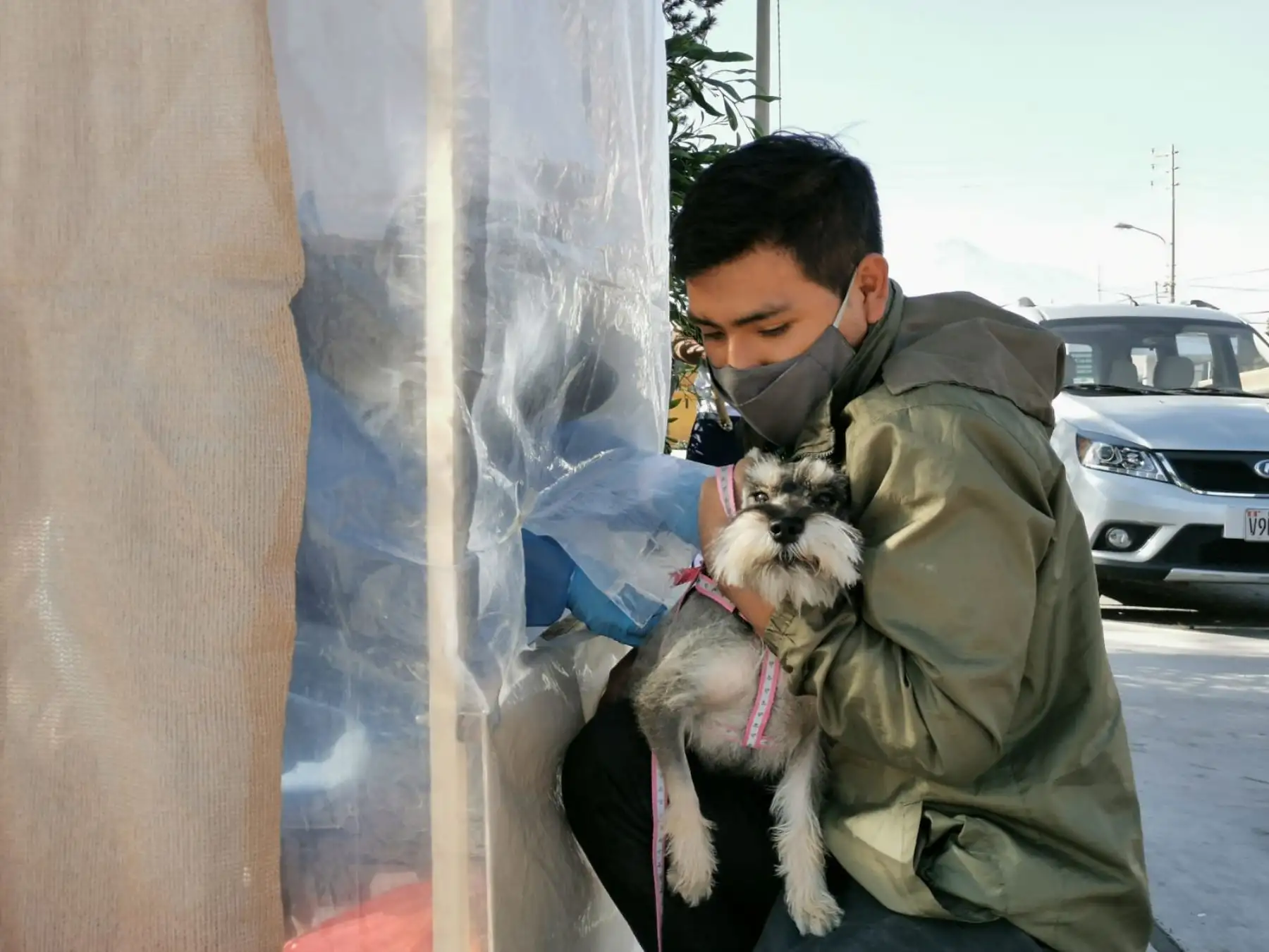 Arequipa implementa cabinas especiales para retomar vacunación antirrábica canina cumpliendo los protocolos sanitarios que evitan la propagación del coronavirus (covid-19). ANDINA/Difusión