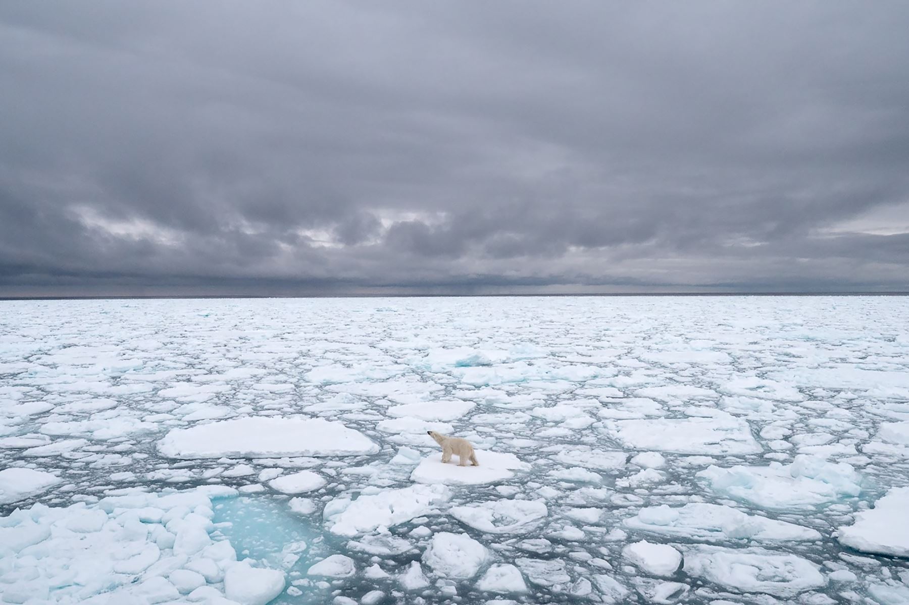 Así, el hielo marino de la Antártida se derritió rápidamente durante tres años hasta 2017, pero en los últimos años se ha recuperado un poco, sin tener claros los motivos. Foto: AFP