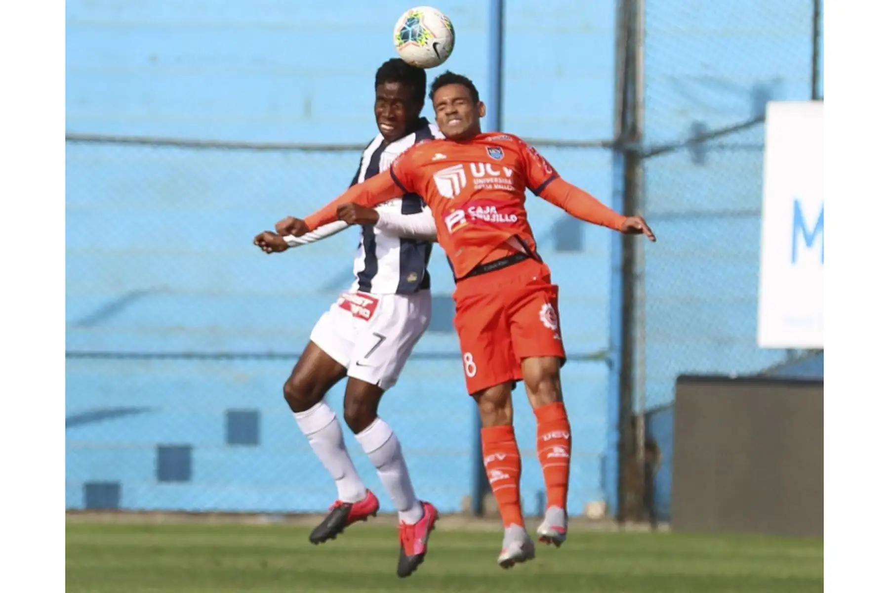 Alianza Lima juega contra la Universidad César Vallejo en el estadio Alberto Gallardo por la fecha 13 del Torneo Apertura. Foto: Liga 1