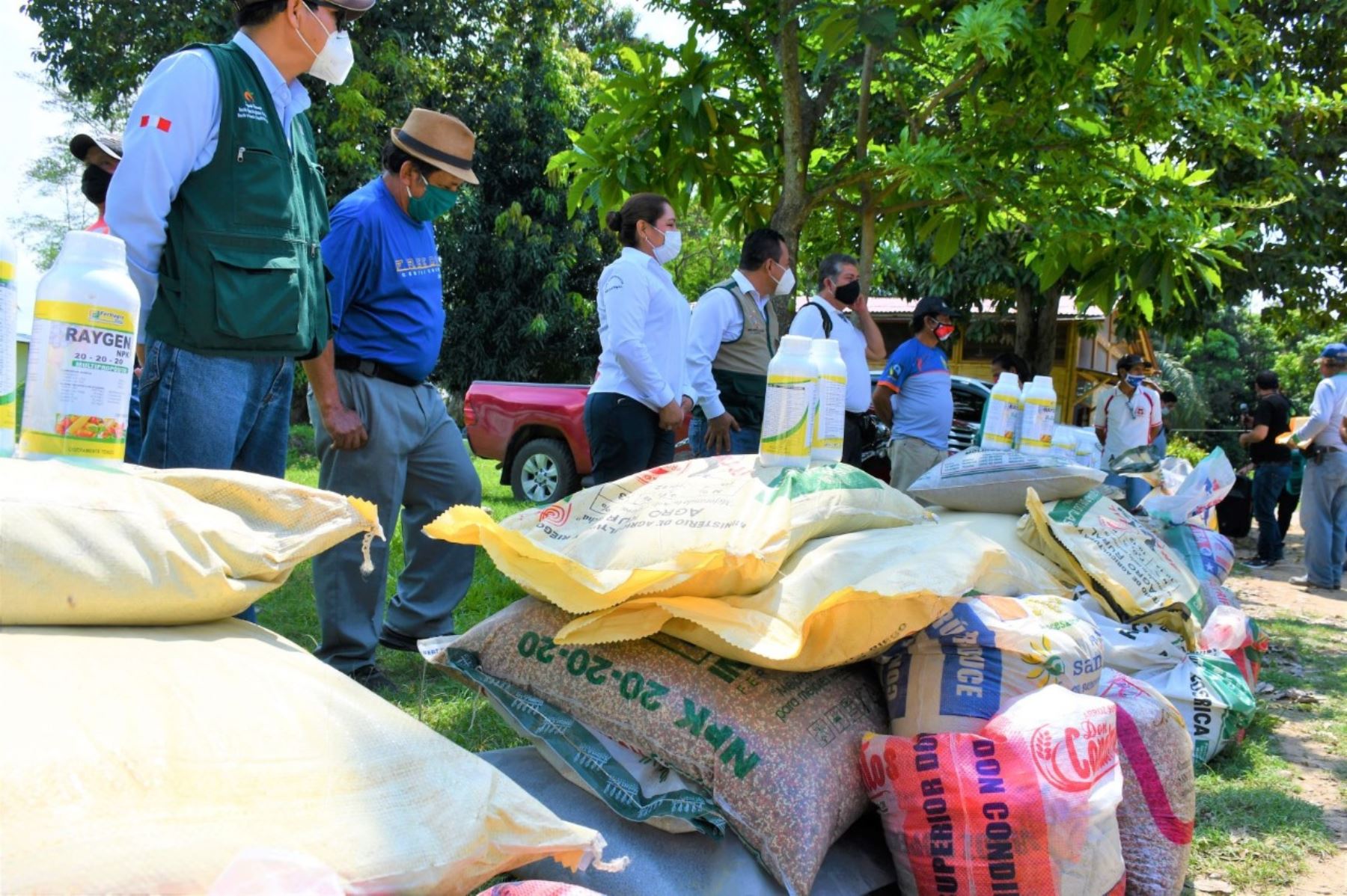 Con entrega de fertilizantes la región San Martín busca mejorar calidad del cacao y reducir la presencia de cadmio en el cultivo.