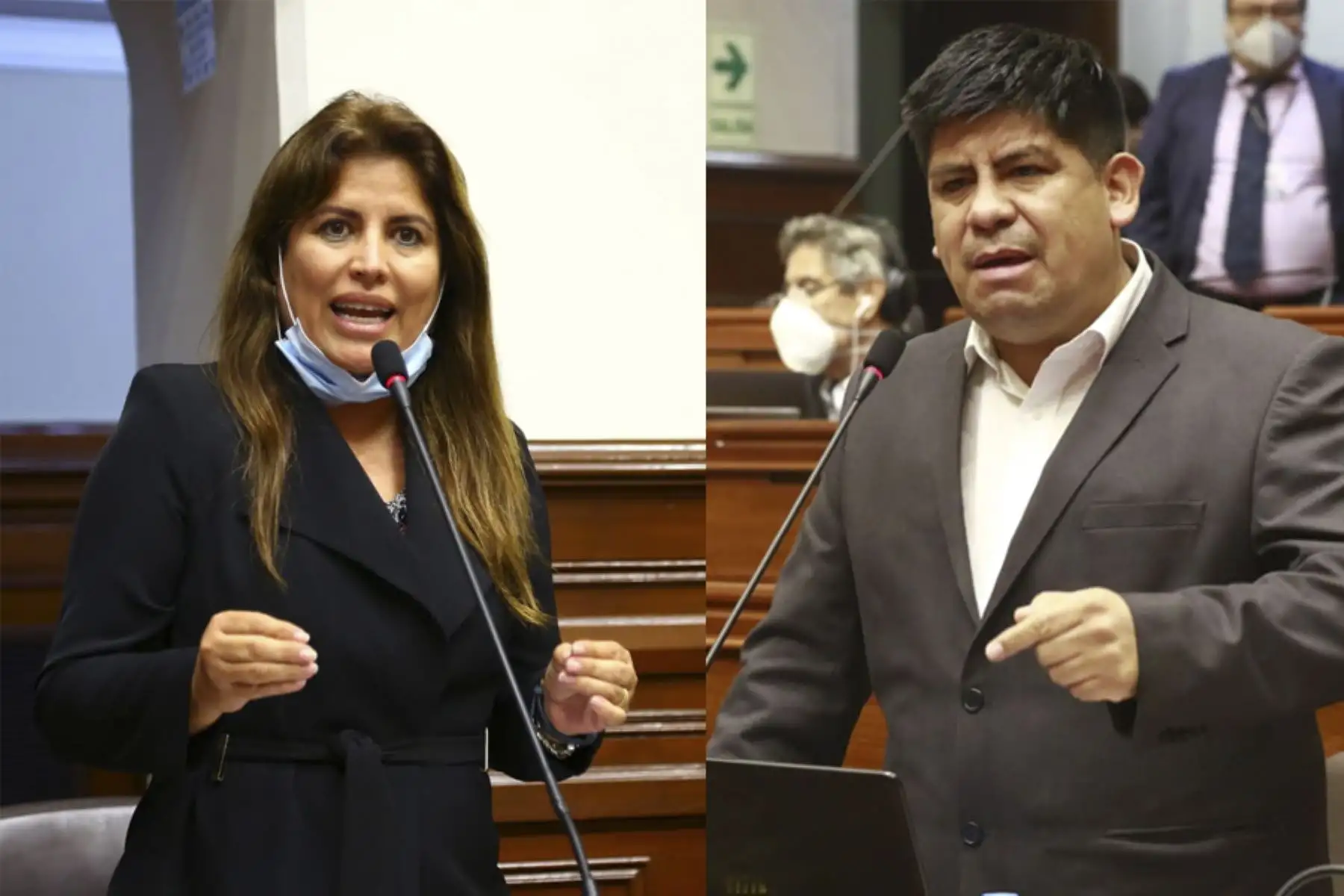 ANDINA/Difusión