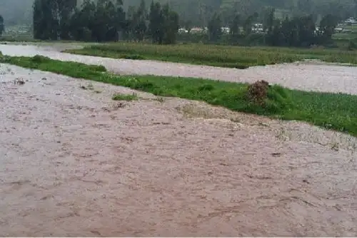 El COEN recomienda no tratar de cruzar a pie una corriente de agua que sobrepase las rodillas y no atravesar puentes donde el nivel del agua se acerca al borde de los mismos. |ANDINA/Difusión