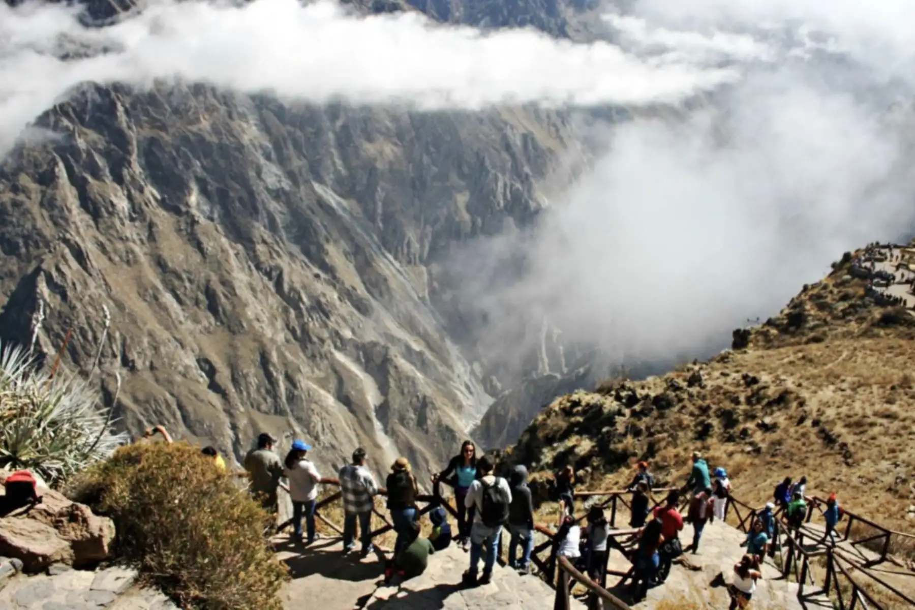 El Cañón del Colca, uno de los más profundos del planeta y poseedor de una deslumbrante belleza paisajística, está nominado como “Mejor atracción turística natural” en los World Travel Awards 2020. ANDINA/Archivo