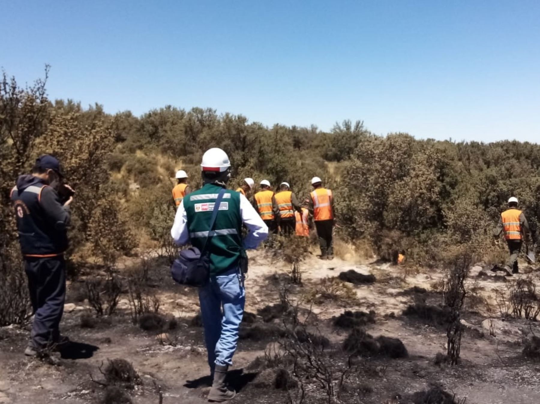 El Serfor reportó que seis incendios forestales se registraron el fin de semana en la región Arequipa. ANDINA/Difusión