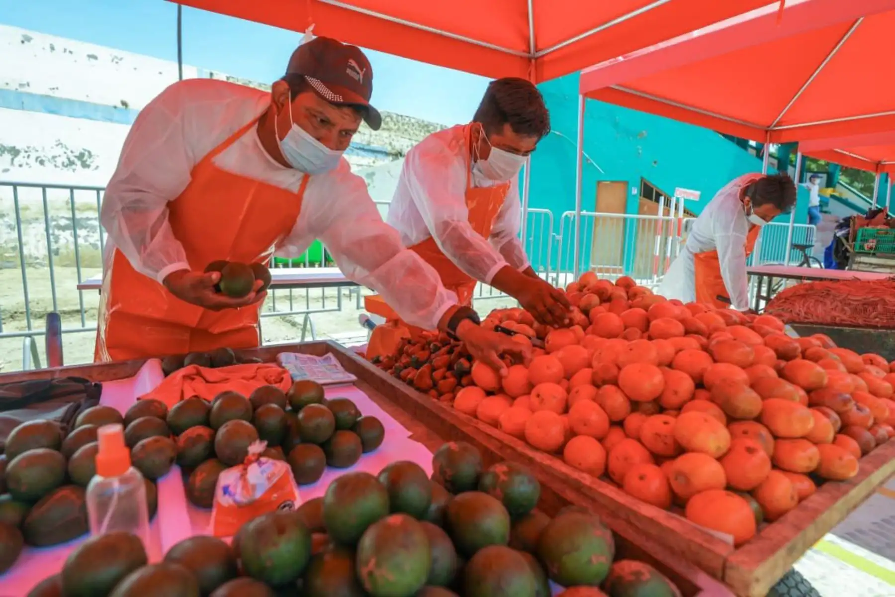 Miinistro de la Producción, José Salardi  y el alcalde de Catacaos, José Luis Muñoz, realizan el reconocimiento del nuevo Mercado Temporal del distrito, a fin de generar condiciones óptimas para el abastecimiento de productos de primera necesidad y mitigar riesgos de contagios de covid-19.
Foto: Produce
