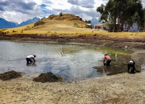 Ancashinos dan el ejemplo y se unen para limpiar la hermosa laguna Wilcacocha, ubicada en el Callejón de Huaylas, en la sierra de esa región. ANDINA/Difusión
