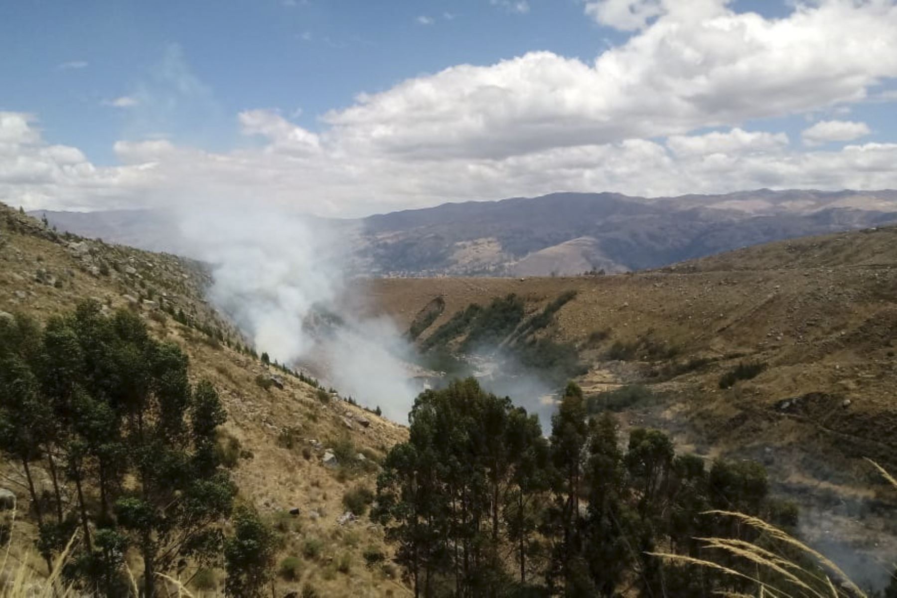 El fuego está consumiendo pastos naturales, plantaciones de eucalipto y pino de la quebrada Cojup, cerca del Huascarán. Foto: ANDINA/Difusión