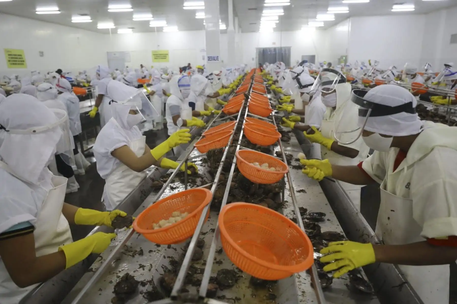 El ministro de la Producción José Salardi Rodríguez, llegó a Piura a cumplir una serie de actividades para promover la recuperación económica de la región, especialmente vinculada a las micro y pequeñas empresas del sector industrial y pesquero. Foto: Produce