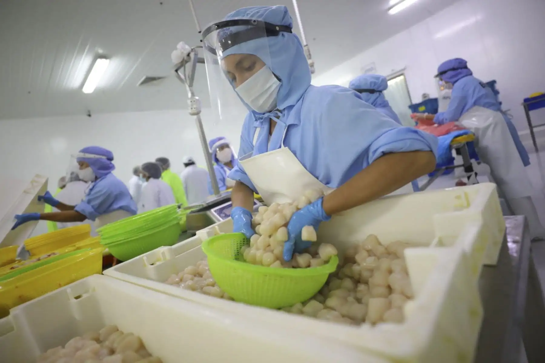 El ministro de la Producción José Salardi Rodríguez, llegó a Piura a cumplir una serie de actividades para promover la recuperación económica de la región, especialmente vinculada a las micro y pequeñas empresas del sector industrial y pesquero. Foto: Produce