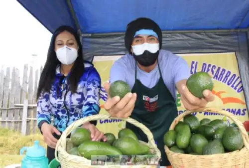 Cajamarca:ponen en marcha primer mercado de productores para impulsar agricultura familiar. Foto: Ministerio de Agricultura y Riego.