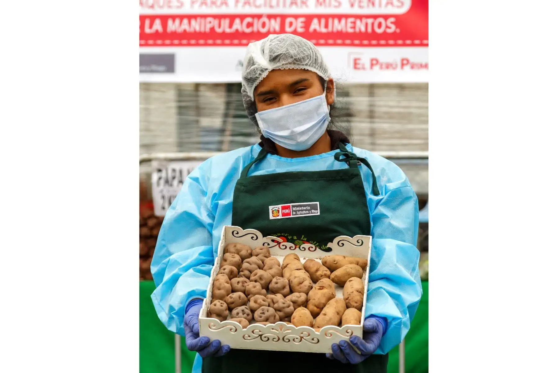 En el marco de la campaña Adopta una tonelada de papa, a cargo de Agro Rural del Ministerio de Agricultura y Riego se logró la venta de más de 294 toneladas de este principal alimento de la canasta familiar.
Foto: Agrorural