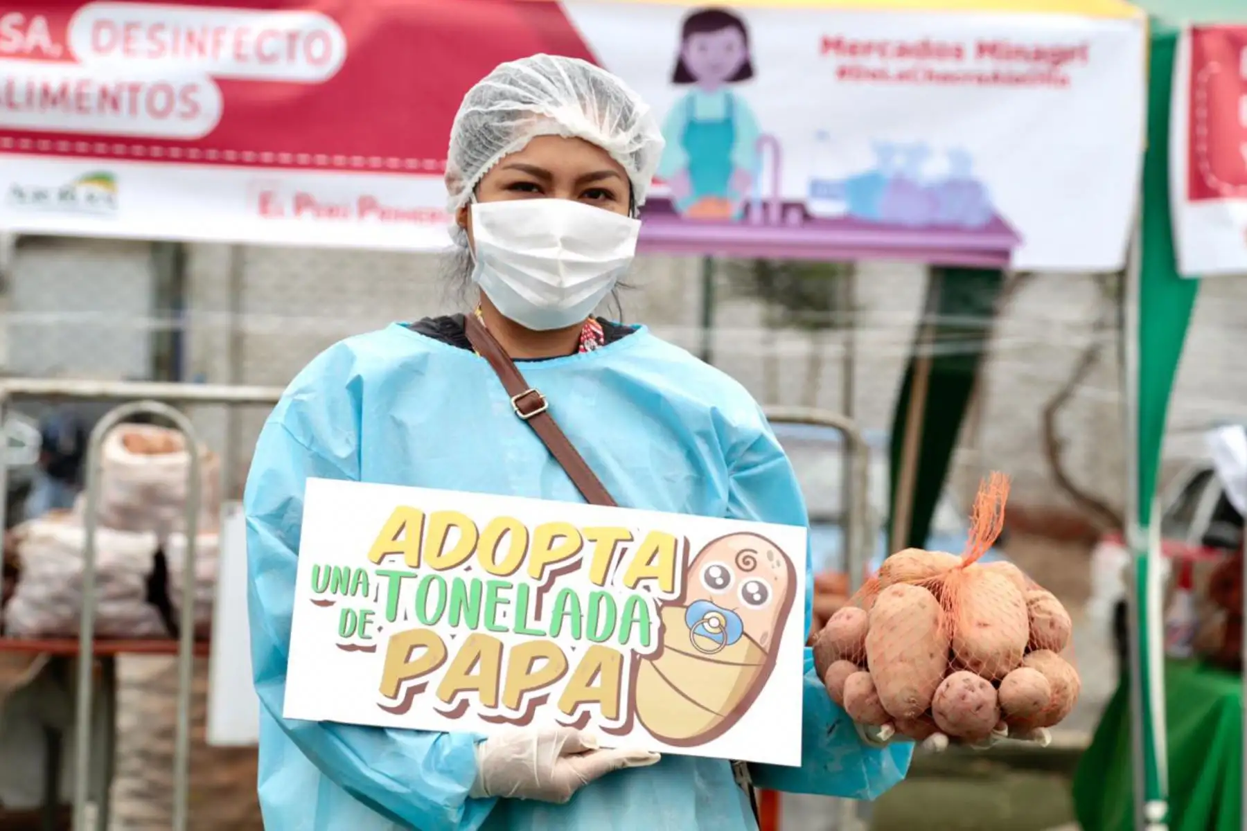 En el marco de la campaña Adopta una tonelada de papa, a cargo de Agro Rural del Ministerio de Agricultura y Riego se logró la venta de más de 294 toneladas de este principal alimento de la canasta familiar.
Foto: Agrorural