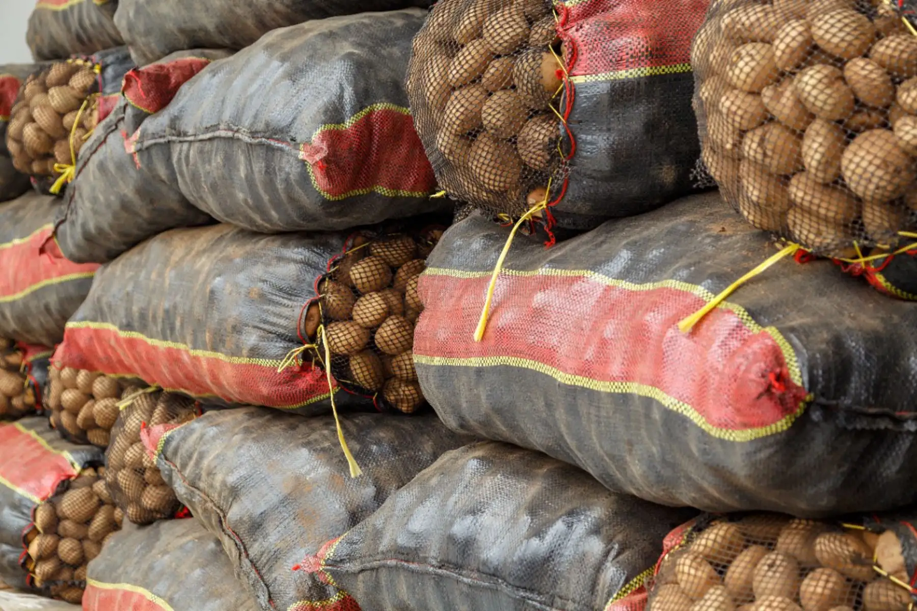 Estas acciones benefician a pequeños y medianos productores y asociaciones de papa de las zonas rurales de los departamentos de Apurímac, Ayacucho, Huancavelica, Huánuco, Ica, Junín, y Pasco.
Foto: Agrorural