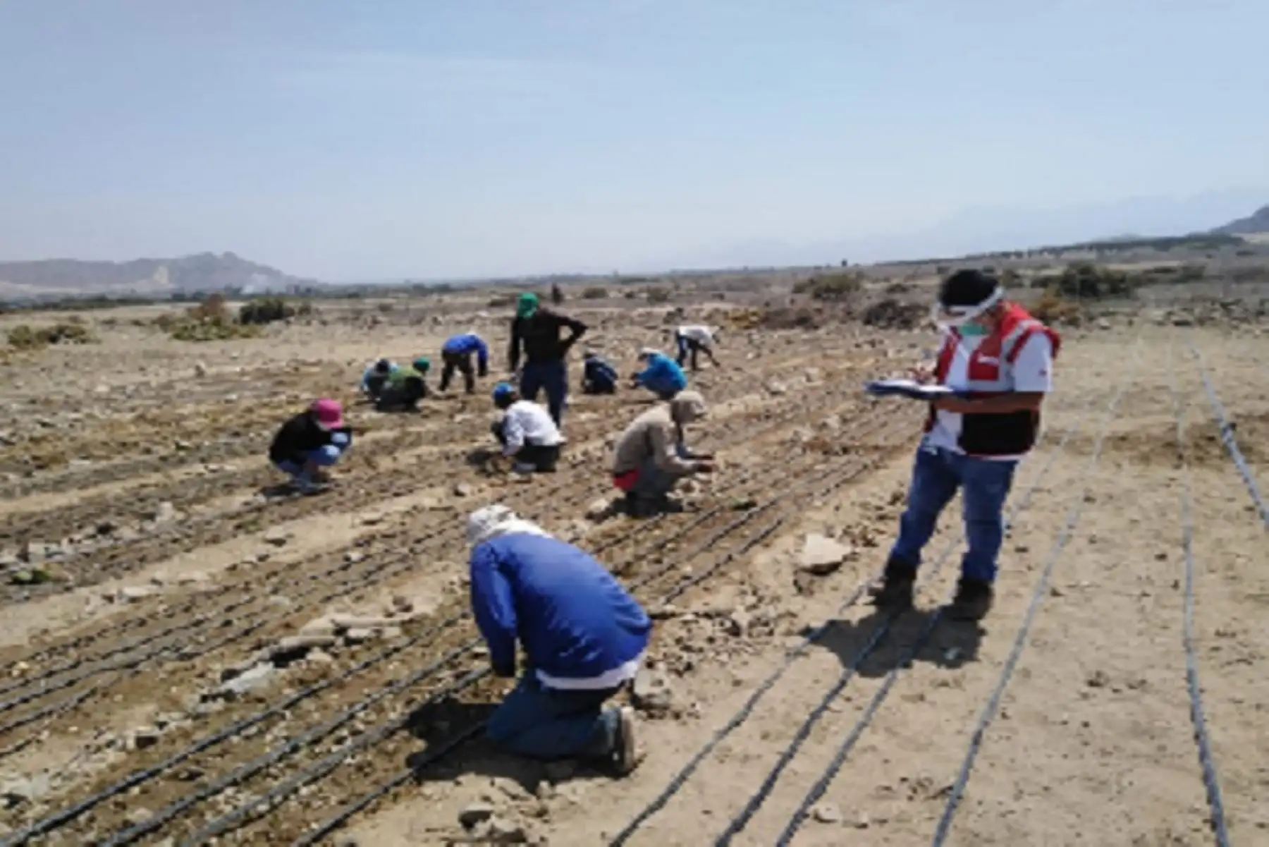 Del total de denuncias, 968 fueron registradas a través del aplicativo alojado en la página web: https://www.gob.pe/sunafil. La mayoría de órdenes de inspección se generaron en el mes de julio, con un total de 333.