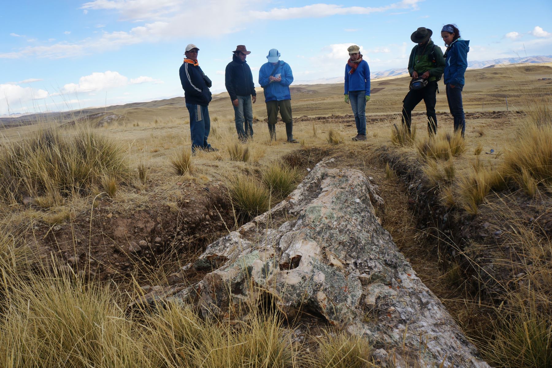 Este es el árbol de hace 10 millones de años, excavado por Florentino Tunquipa (el primero de izquierda a derecha) en la provincia de Espinar (Cusco) y que ofrece valiosa información. Foto: Cortesía Camila Martínez