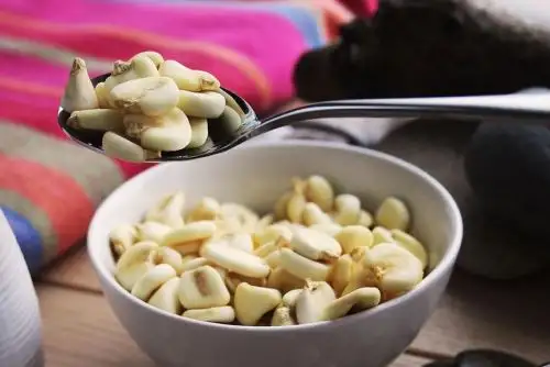 Inacal aprobó la norma técnica aplicable al maíz mote destinado al consumo humano y uso industrial. ANDINA/Difusión