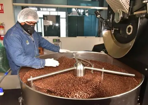 El café orgánico que se produce en la selva de Puno se posiciona en Europa, Asia y EE UU y existe una mayor demanda de este producto que beneficia a los caficultores puneños. ANDINA/Difusión