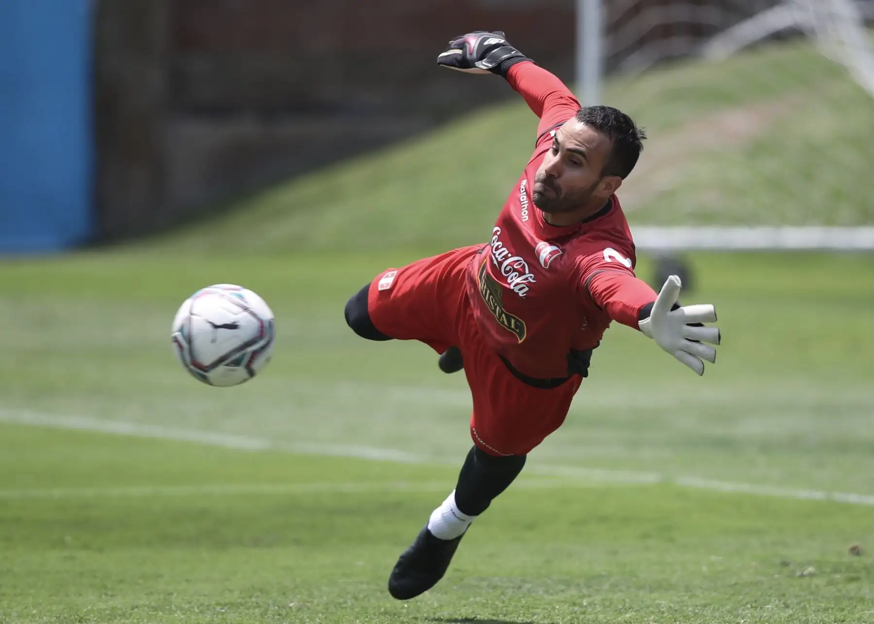 El portero José Carvallo de la Selección peruana completó sus entrenamientos por tercer día consecutivo en el Complejo Deportivo Videna FPF, con miras a su debut en las Clasificatorias a Qatar 2022. Foto: @SeleccionPeru