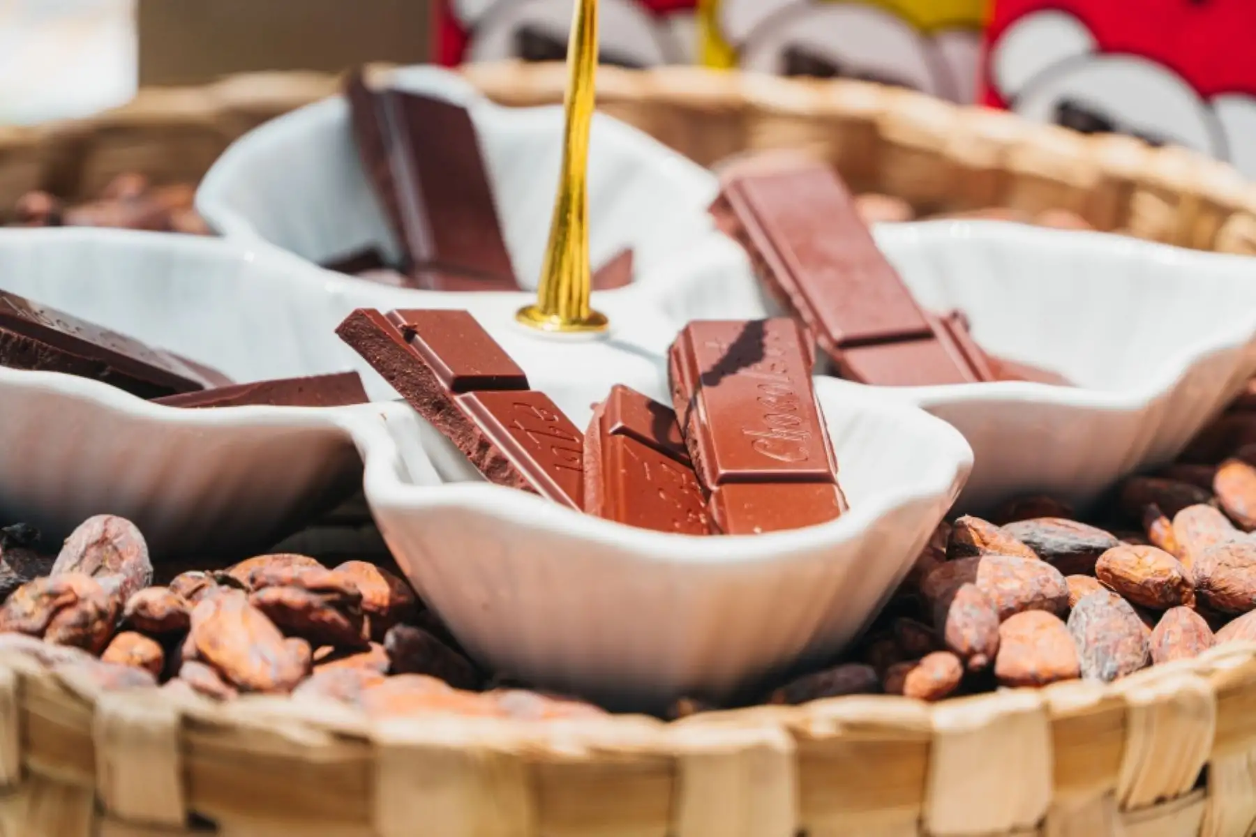 Día del Cacao y Chocolate: feria ChocoPerú se realiza desde hoy en el Cercado de Lima. Foto: ANDINA/difusión.