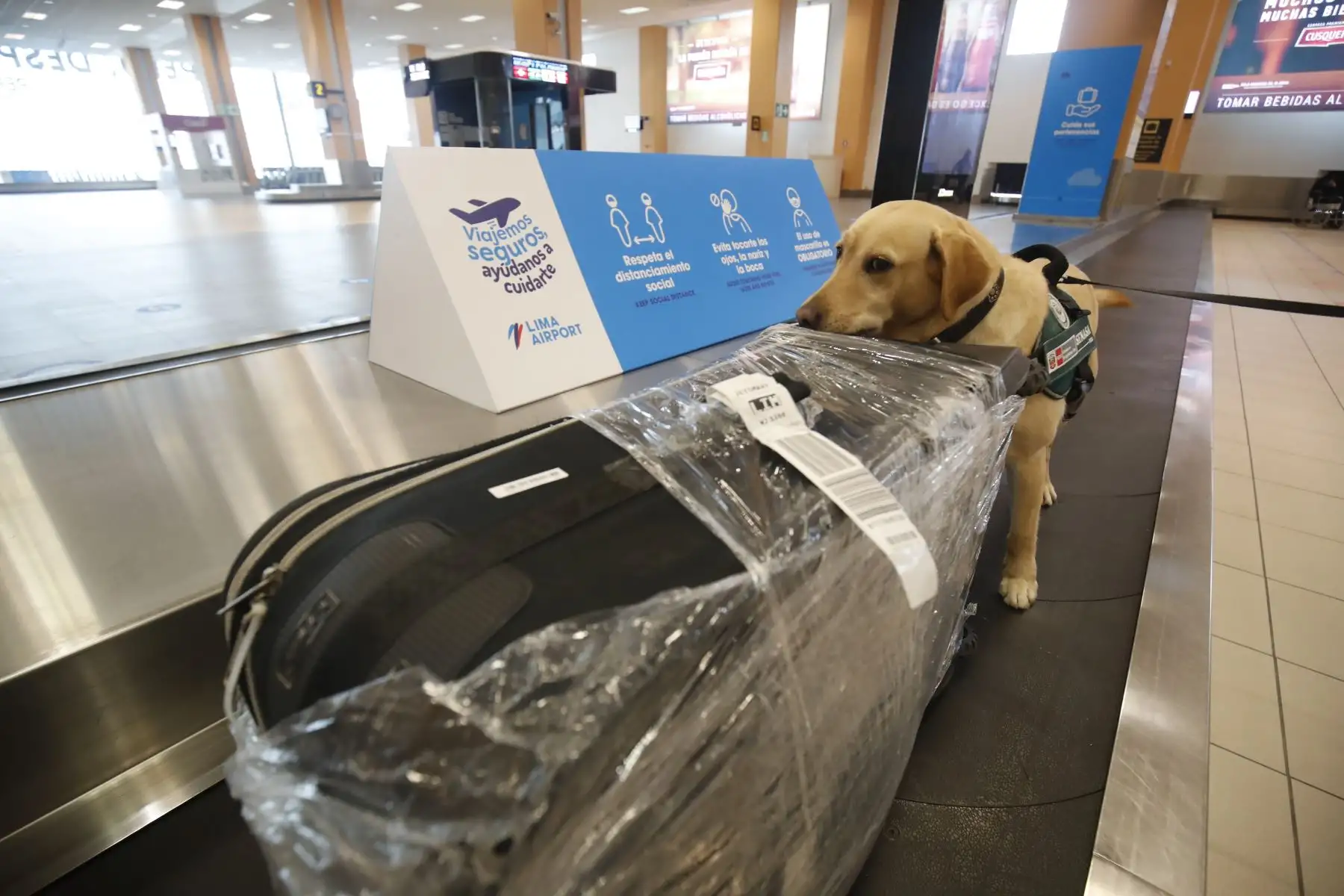 El Aeropuerto Internacional Jorge Chávez presentó sus protocolos de seguridad para los vuelos internacionales que iniciarán este 5 de octubre. Foto: ANDINA/Juan Carlos Guzmán
