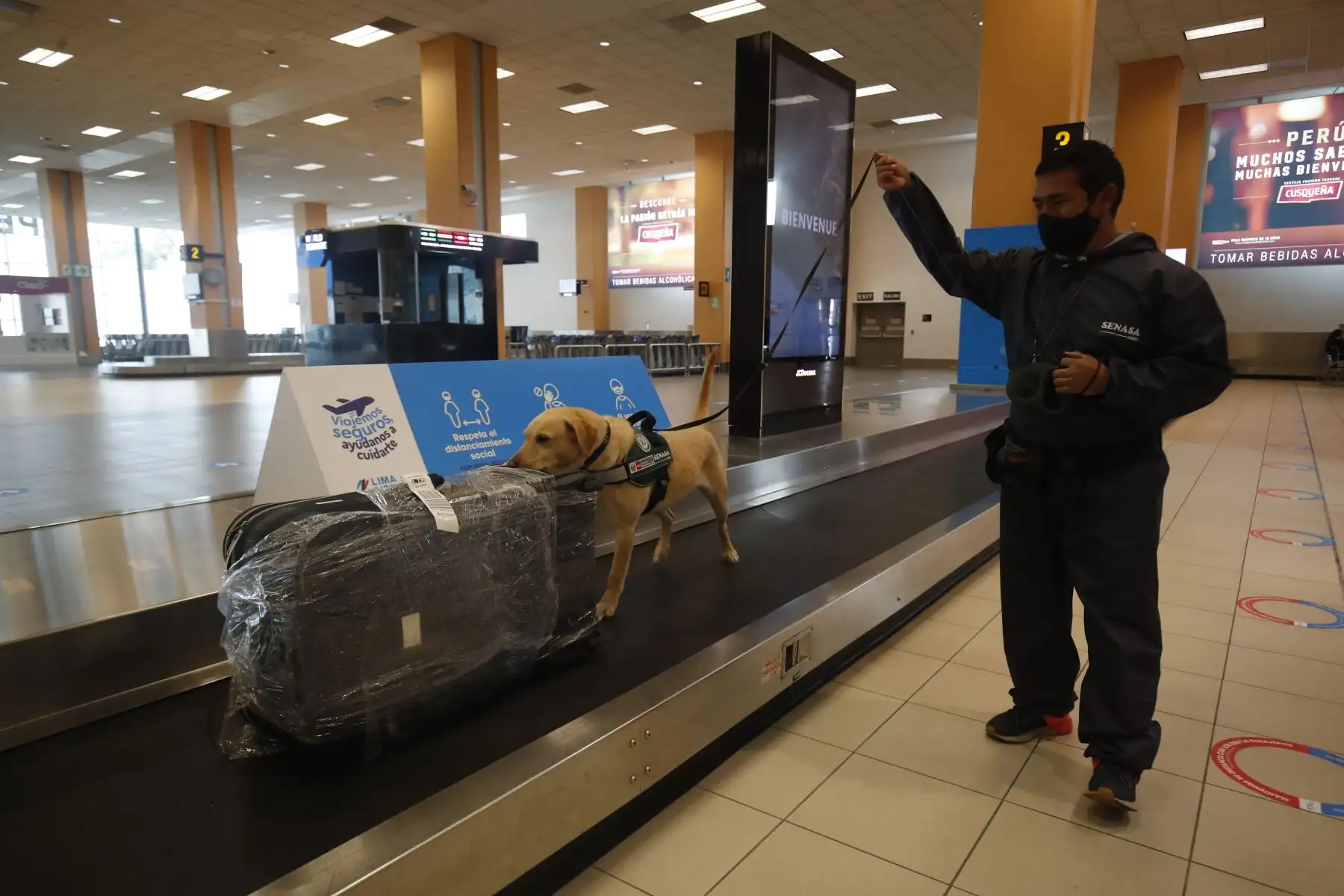 El Aeropuerto Internacional Jorge Chávez presentó sus protocolos de seguridad para los vuelos internacionales que iniciarán este 5 de octubre. Foto: ANDINA/Juan Carlos Guzmán