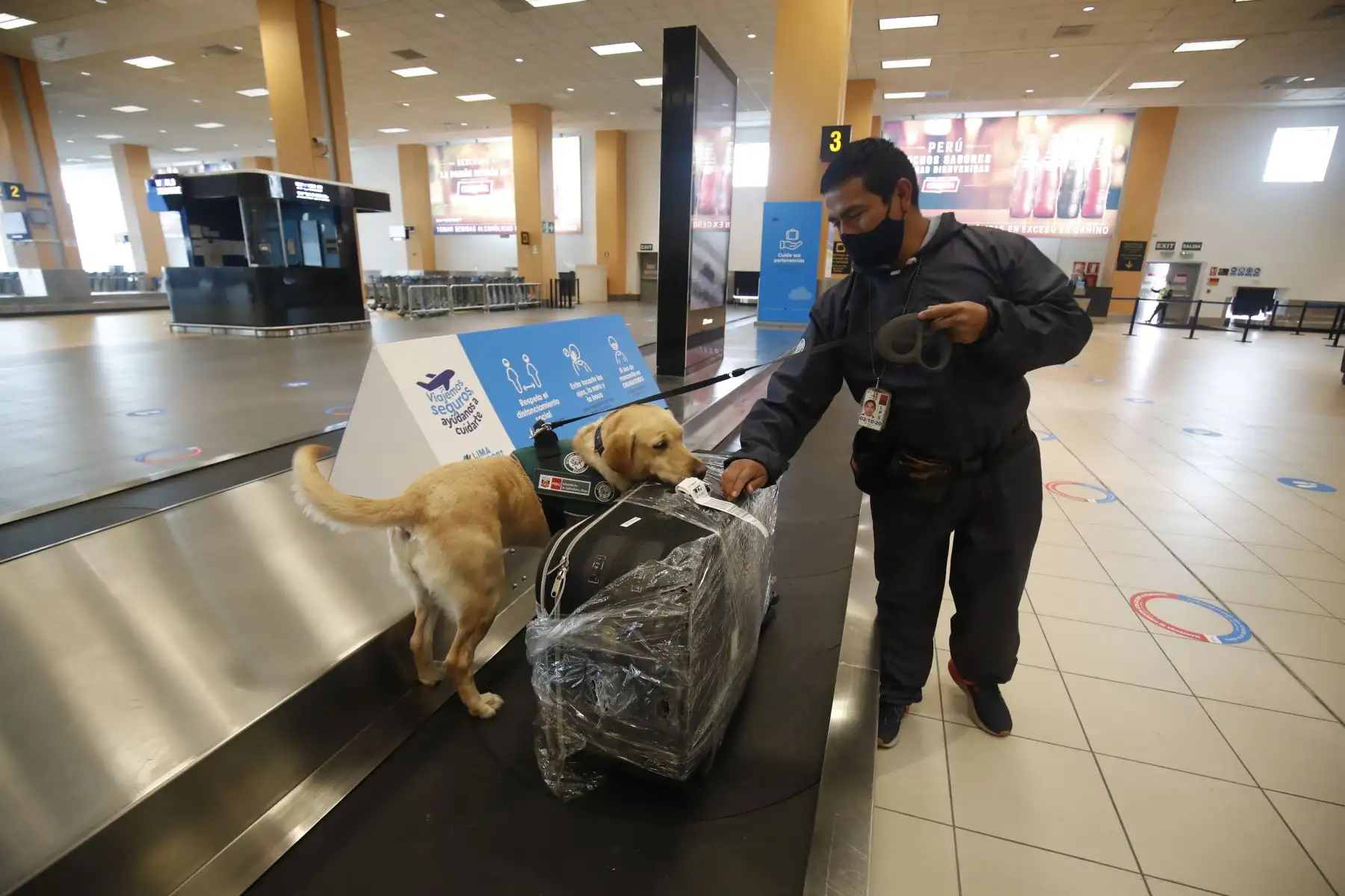 El Aeropuerto Internacional Jorge Chávez presentó sus protocolos de seguridad para los vuelos internacionales que iniciarán este 5 de octubre. Foto: ANDINA/Juan Carlos Guzmán