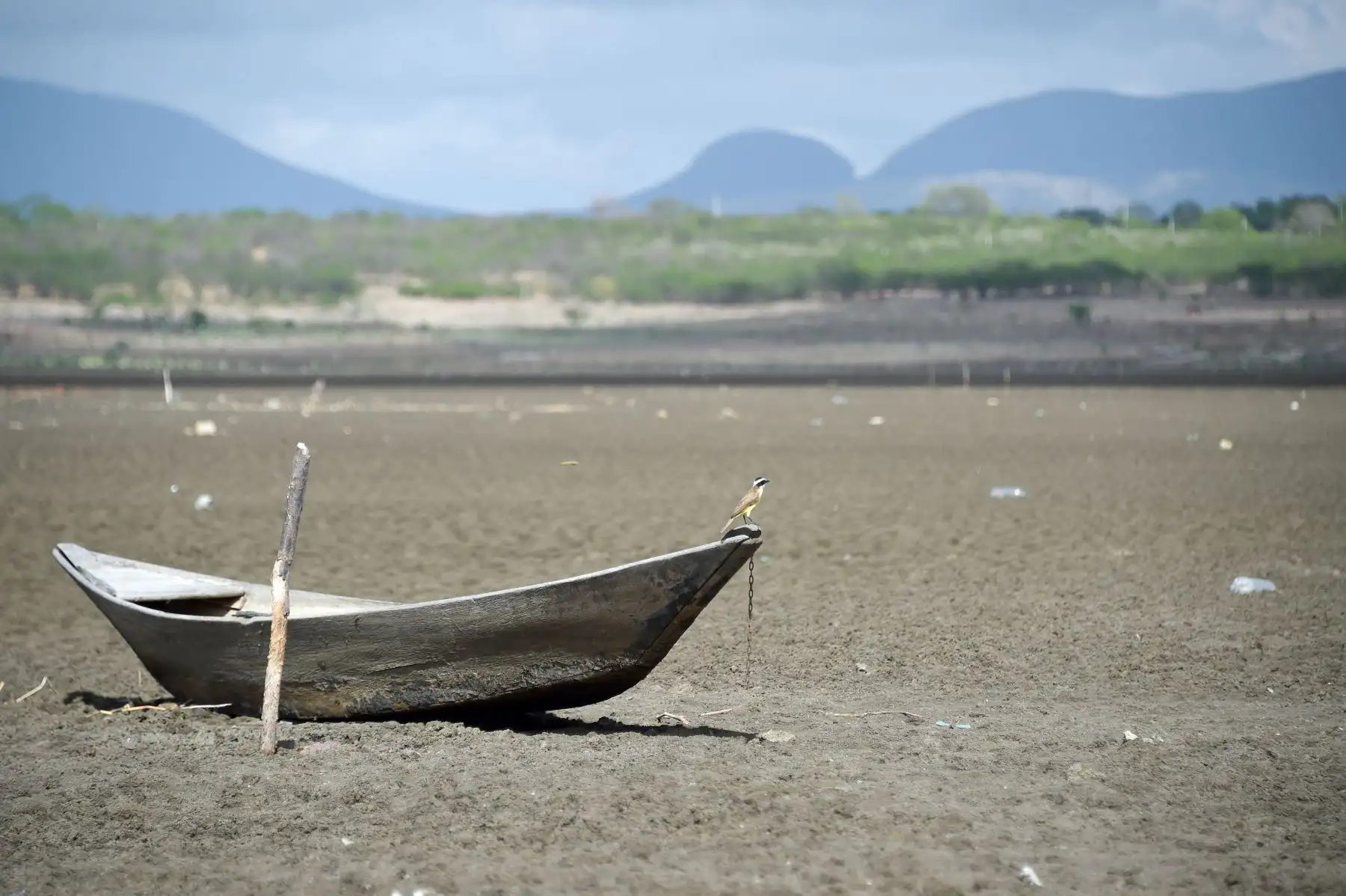 Los récords de temperatura en gran parte de Brasil son consecuencia de la permanencia de una masa de aire seco y caliente sobre las regiones sudeste y centro-oeste del país. Foto: AFP