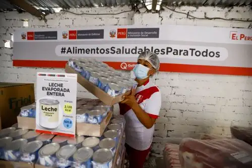 Foto: ANDINA/Prensa Presidencia.
