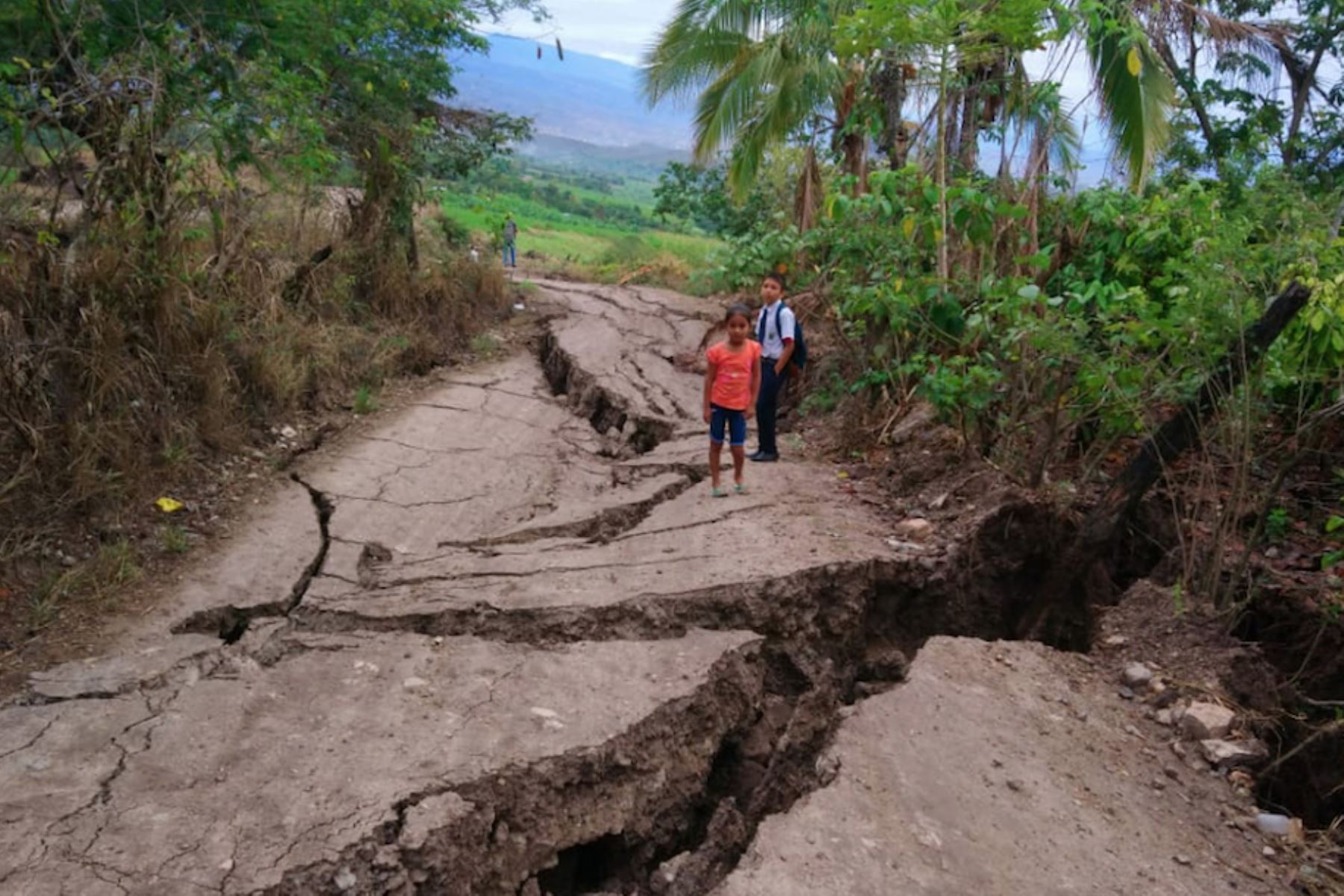 Alertan sobre posible reactivación de deslizamientos en el caserío El Tesoro, distrito de Cajaruro, provincia de Utcubamba, región Amazonas. Foto: Difusión