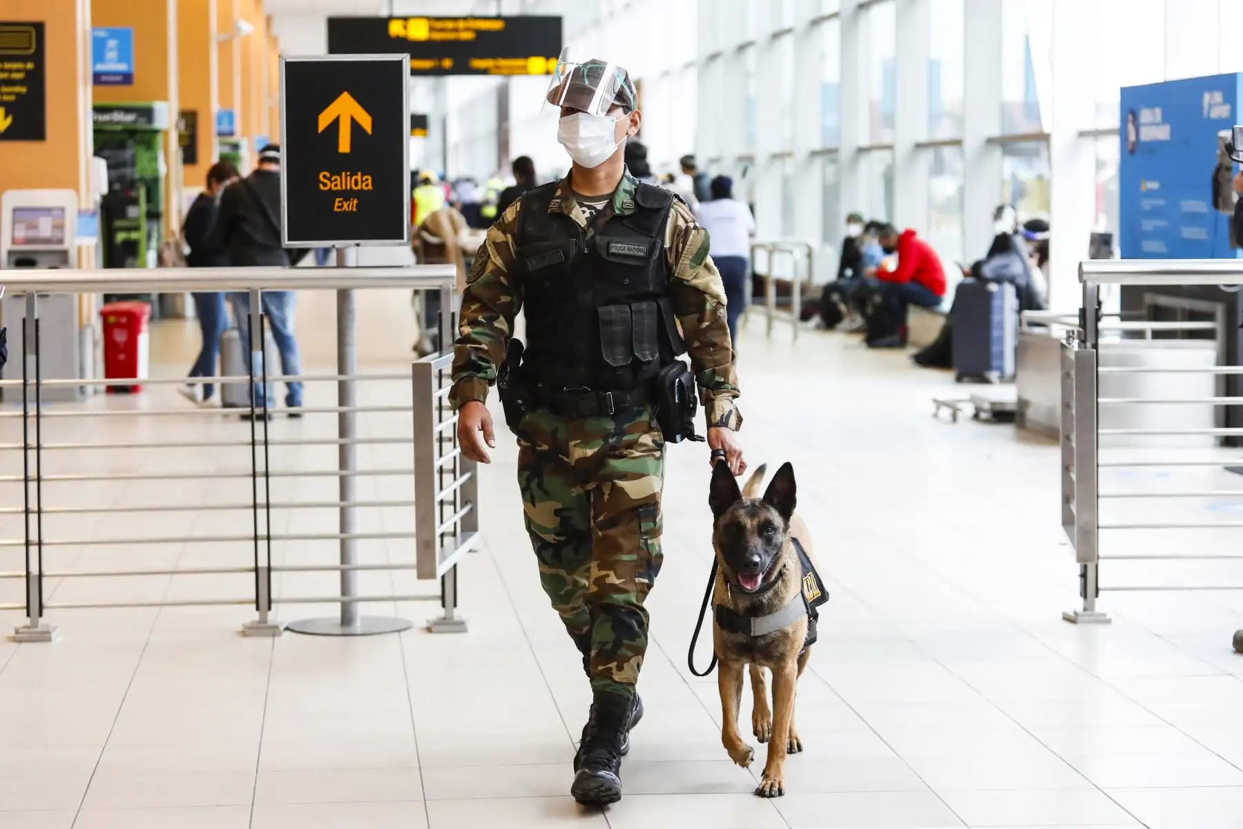 Miembro de la DIRANDRO PNP junto a un can entrenado inspeccionan el movimiento en aeropuerto Jorge Chávez. Foto: ANDINA/Renato Pajuelo