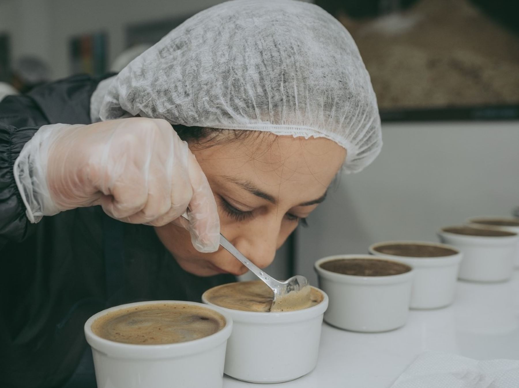 Un total de 36 variedades de café de seis regiones compiten por ser el mejor café especial peruano en la competencia Taza de Excelencia Perú 2020. ANDINA/Difusión