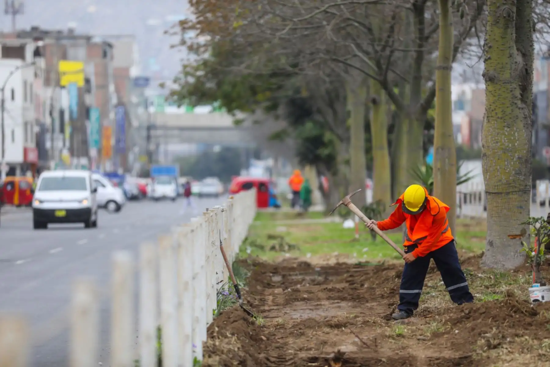 La Municipalidad de Lima inició la ejecución de la primera de siete ciclovías en el distrito de San Juan de Lurigancho, considerado el más populoso de la capital y donde se registran más viajes diarios en bicicleta. Foto: ANDINA/Municipalidad de Lima