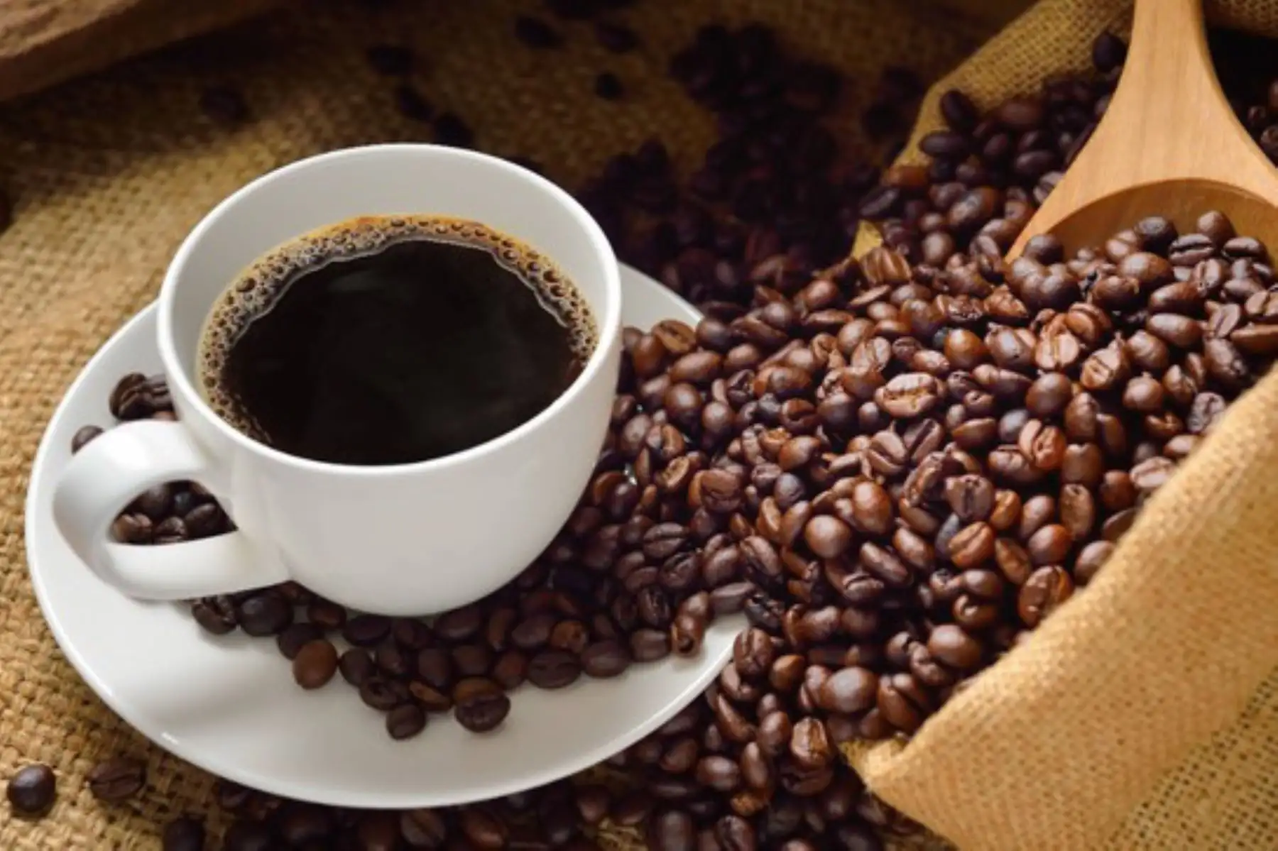 Cafés de Puno, Huánuco, Junín y Cusco, que compiten por ser el mejor del Perú, son evaluados en diferentes países. Foto: ANDINA/Difusión