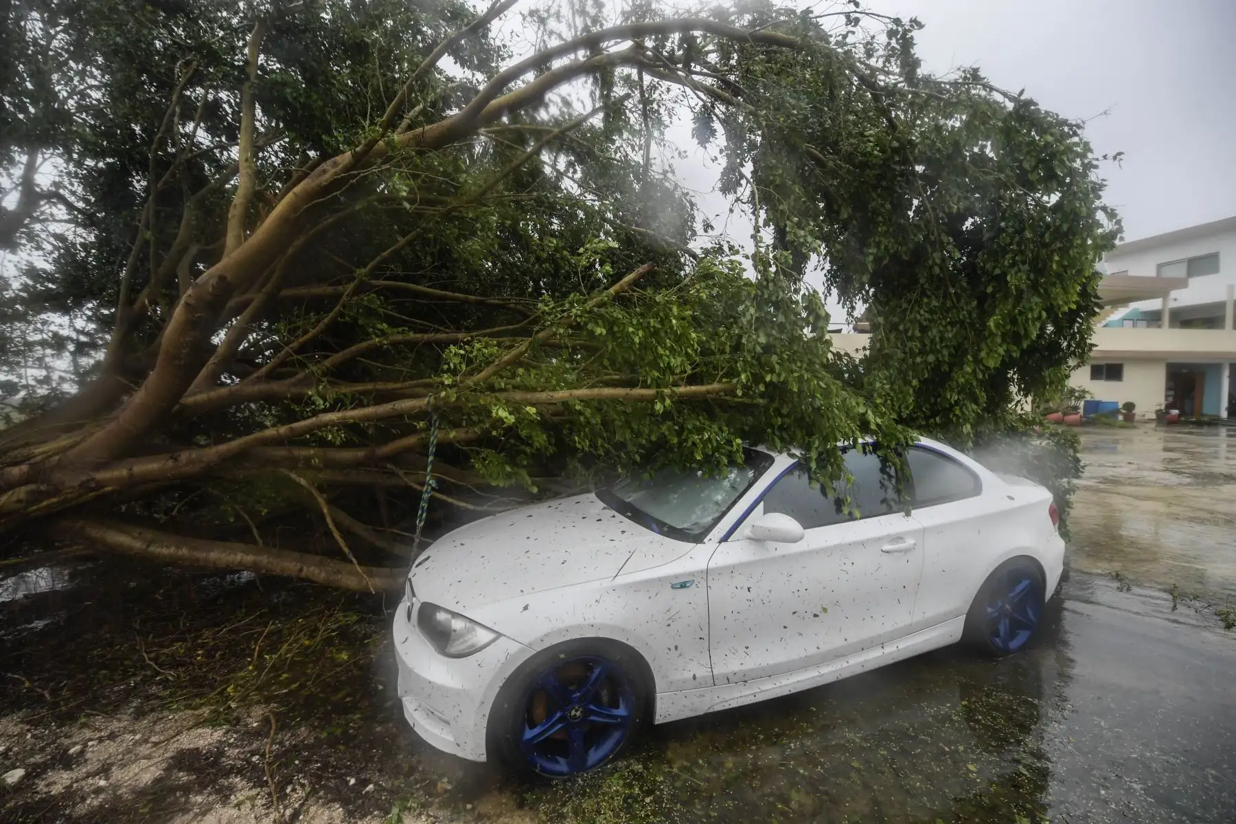 Un automóvil está cubierto por un árbol caído después del paso del huracán Delta, en Cancún, estado de Quintana Roo, México. Foto: AFP