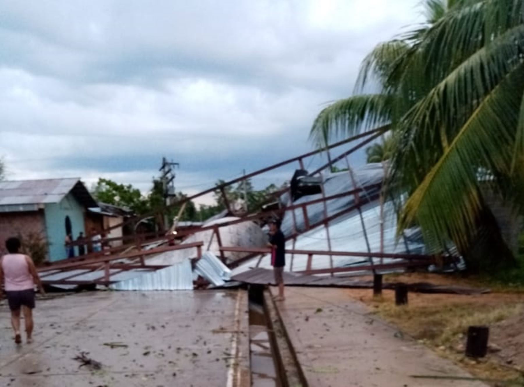 COER San Martín evalúa los daños causados por vientos y lluvias en Papaplaya. También se reportó la caída de árboles que afectó el servicio eléctrico en varios distritos. ANDINA/Difusión