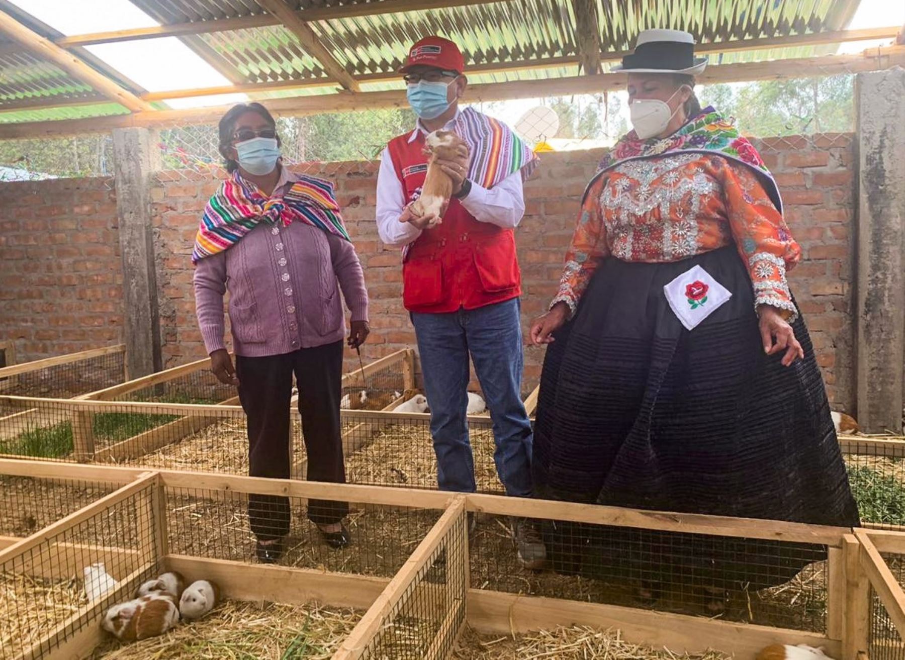 Ministro de Agricultura, Jorge Montenegro, entregó bienes a mujeres productoras del distrito de Huerta, en Junín, que desarrollan un plan de negocio de crianza de cuy.