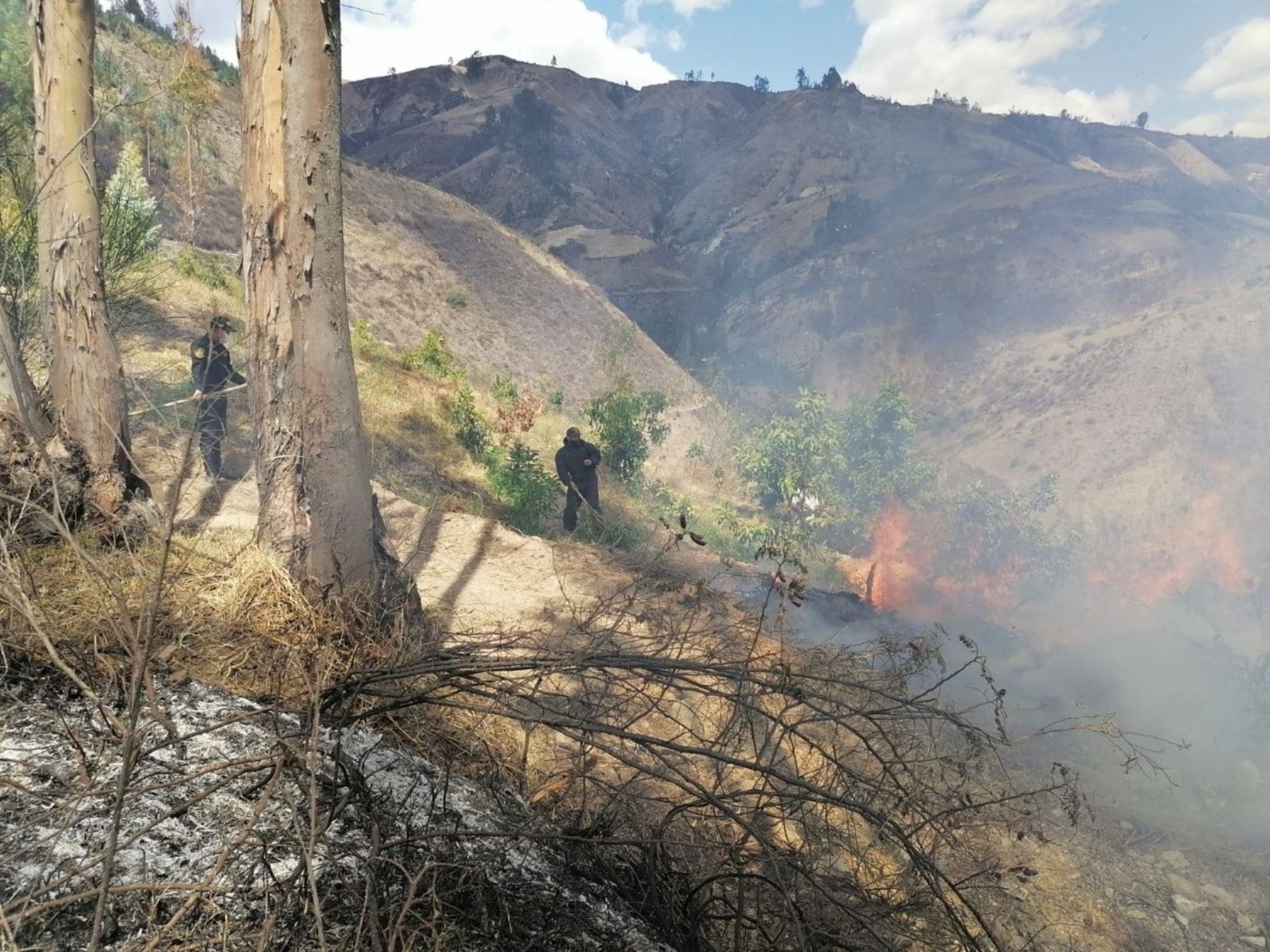 Brigadistas combaten incendio forestal que ya arrasó con 15 hectáreas de pastos y bosques de eucalipto en la provincia de Pallasca, región Áncash.