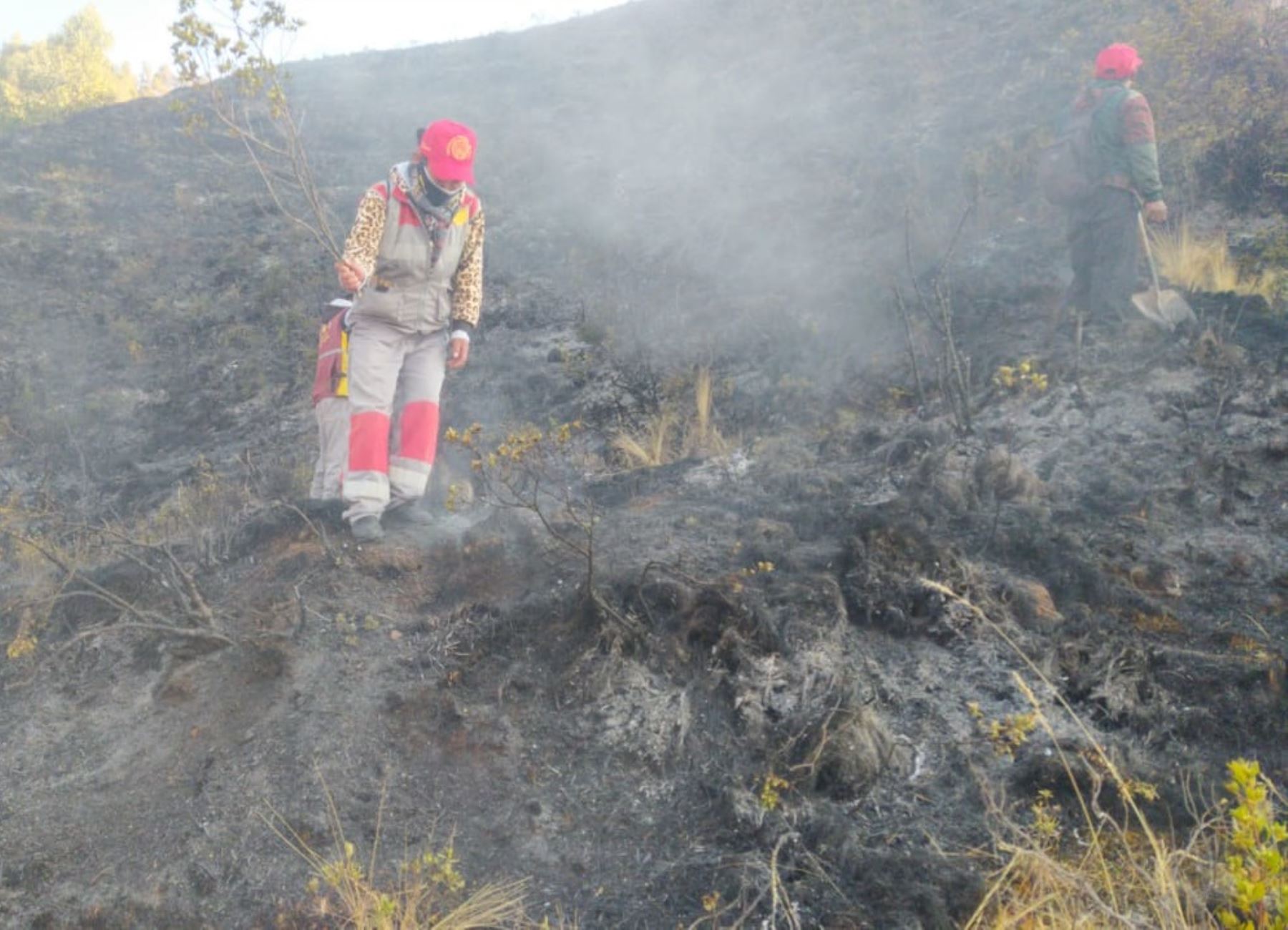 Bomberos y pobladores cusqueños buscan controlar el incendio forestal que se registra desde ayer al norte de la Ciudad Imperial, cerca del parque arqueológico Sacsayhuamán. ANDINA/Difusión