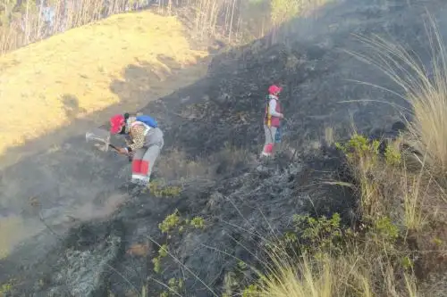 Bomberos y vecinos trabajan para controlar el incendio forestal que se registra desde ayer al norte del Cusco. Foto: ANDINA/Difusión