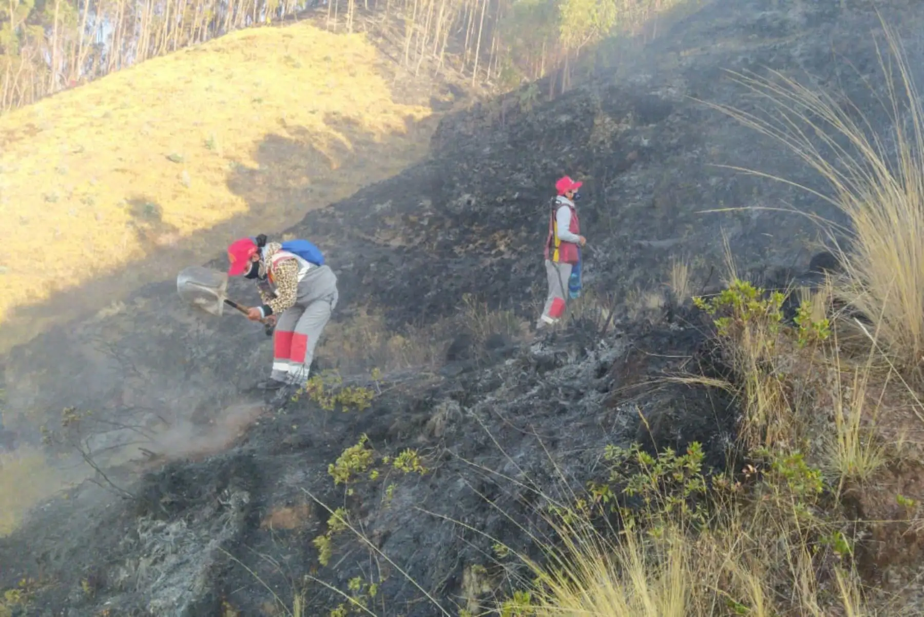 Bomberos y vecinos trabajan para controlar el incendio forestal que se registra desde ayer al norte del Cusco. Foto: ANDINA/Difusión