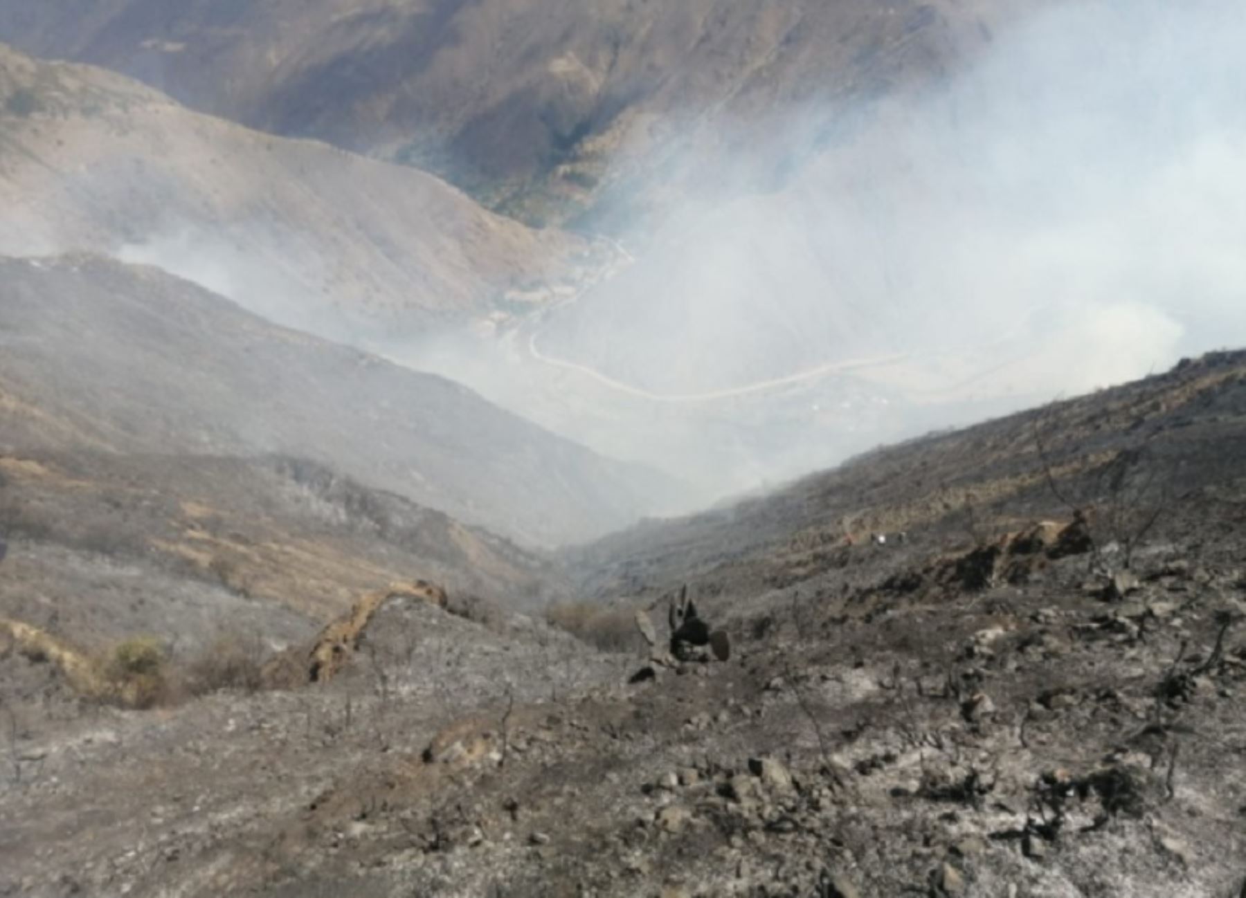Un incendio forestal de gran magnitud provocó la muerte de dos pastoras y más de 50 animales, entre ovejas y cabras, en el centro poblado de Tangor, ubicado a 30 minutos del distrito de Páucar,  provincia de Daniel Alcides Carrión, en el departamento de Pasco.