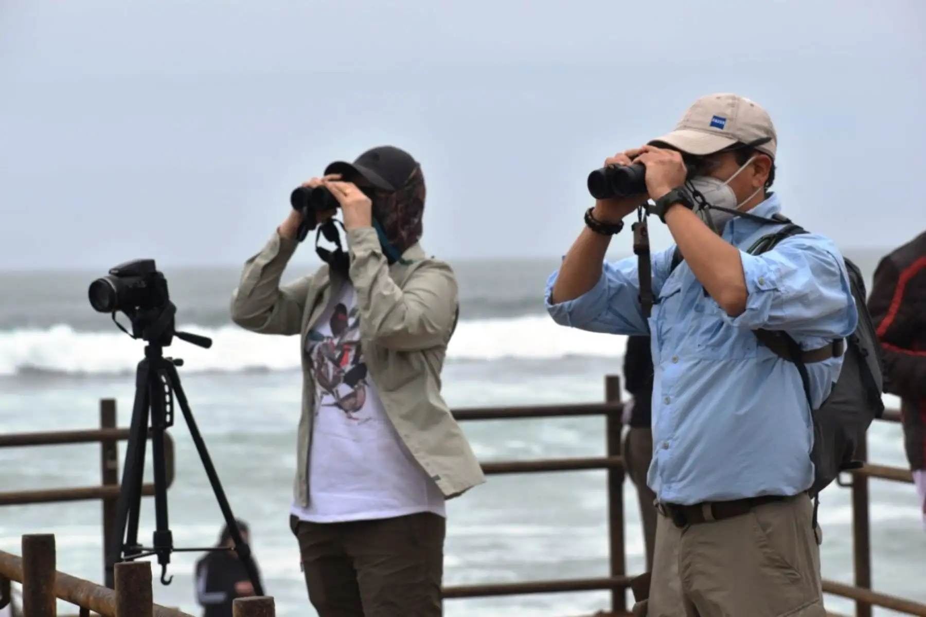 Avistamiento de aves marinas: playa de Miraflores se convirtió en relax durante pandemia. Foto: ANDINA/Difusión.