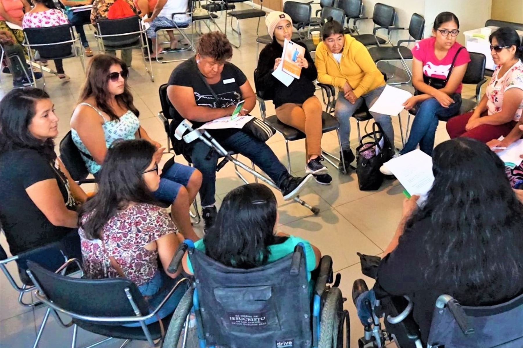 Grupo de trabajo para analizar la situación de las personas con discapacidad en el Perú.