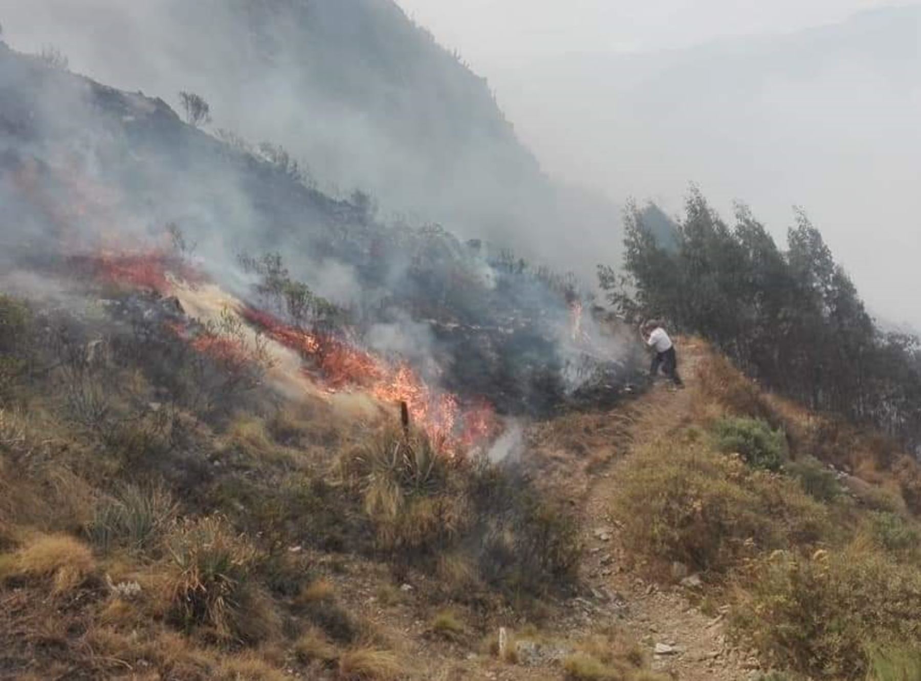 Usquil, ubicado en la provincia de Otuzco, es uno de los distritos más afectados por incendios forestales en La Libertad. ANDINA/Difusión